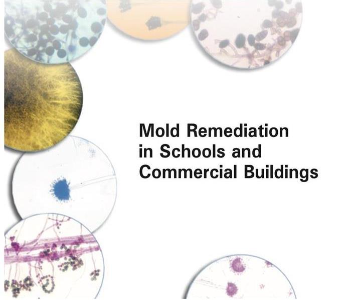 mold remediation in schools and commercial buildings