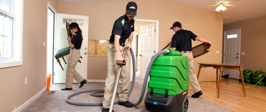 Carson City, NV cleaning services